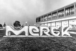 冰王發(fā)展歷程_1991年冰王品牌誕生